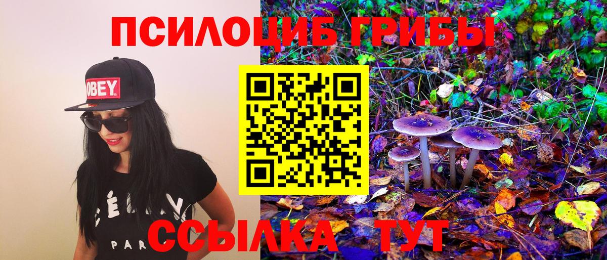 Псилоцибиновые грибы Psilocybine cubensis Надым